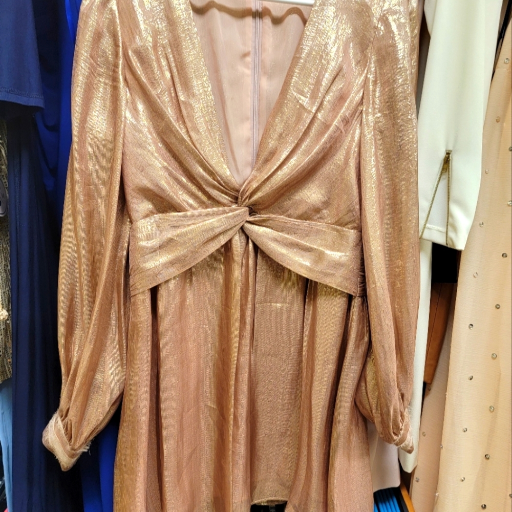 Ramy Brook Rose Gold Dress